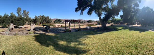 Old West Temecula Grass Lawn and Oak Trees